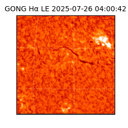 gong - 2025-07-26T04:00:42