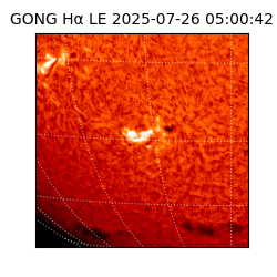 gong - 2025-07-26T05:00:42
