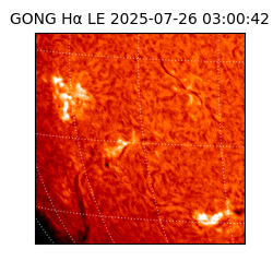 gong - 2025-07-26T03:00:42