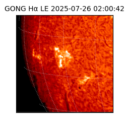 gong - 2025-07-26T02:00:42
