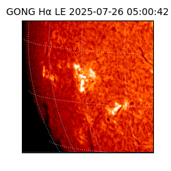 gong - 2025-07-26T05:00:42