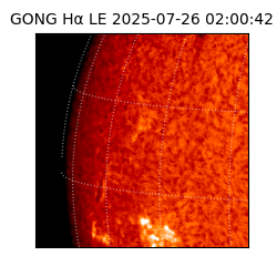 gong - 2025-07-26T02:00:42