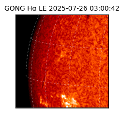 gong - 2025-07-26T03:00:42