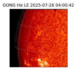 gong - 2025-07-26T04:00:42