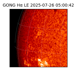 gong - 2025-07-26T05:00:42