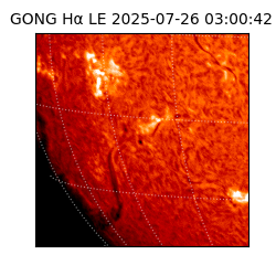 gong - 2025-07-26T03:00:42