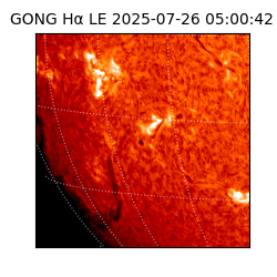gong - 2025-07-26T05:00:42