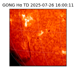 gong - 2025-07-26T16:00:11