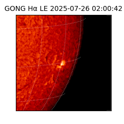 gong - 2025-07-26T02:00:42