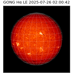 gong - 2025-07-26T02:00:42