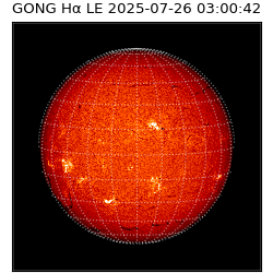 gong - 2025-07-26T03:00:42