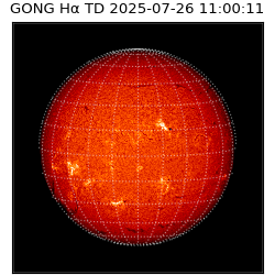 gong - 2025-07-26T11:00:11