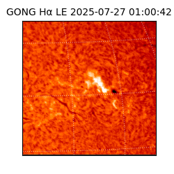 gong - 2025-07-27T01:00:42