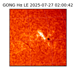 gong - 2025-07-27T02:00:42