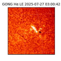 gong - 2025-07-27T03:00:42