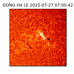 gong - 2025-07-27T07:00:42