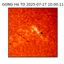 gong - 2025-07-27T10:00:11