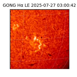 gong - 2025-07-27T03:00:42