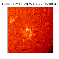 gong - 2025-07-27T06:00:42