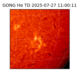 gong - 2025-07-27T11:00:11