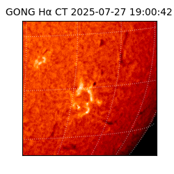 gong - 2025-07-27T19:00:42