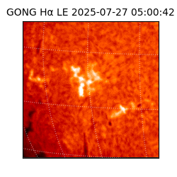gong - 2025-07-27T05:00:42