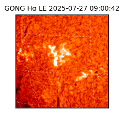 gong - 2025-07-27T09:00:42