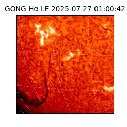 gong - 2025-07-27T01:00:42