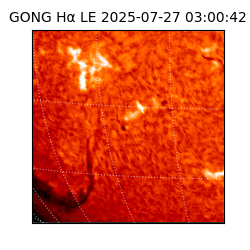 gong - 2025-07-27T03:00:42