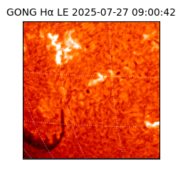 gong - 2025-07-27T09:00:42