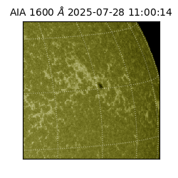 saia - 2025-07-28T11:00:14.126000