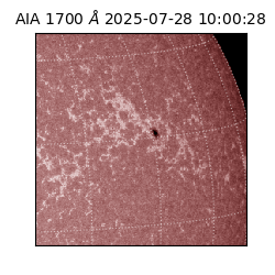 saia - 2025-07-28T10:00:28.710000