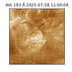 saia - 2025-07-28T11:00:04.846000