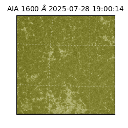 saia - 2025-07-28T19:00:14.126000