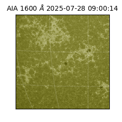 saia - 2025-07-28T09:00:14.126000