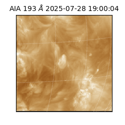 saia - 2025-07-28T19:00:04.843000