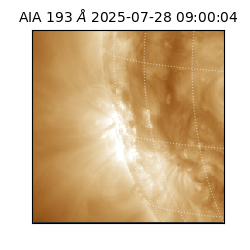 saia - 2025-07-28T09:00:04.843000