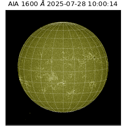 saia - 2025-07-28T10:00:14.126000