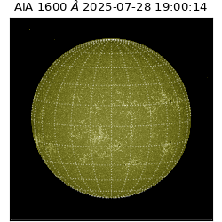 saia - 2025-07-28T19:00:14.126000