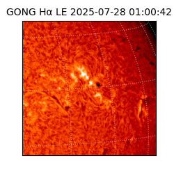 gong - 2025-07-28T01:00:42