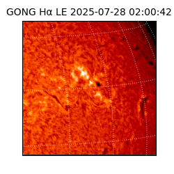 gong - 2025-07-28T02:00:42