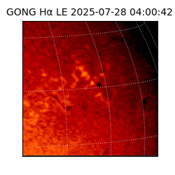 gong - 2025-07-28T04:00:42