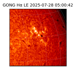 gong - 2025-07-28T05:00:42