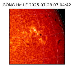gong - 2025-07-28T07:04:42
