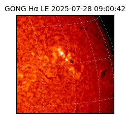 gong - 2025-07-28T09:00:42