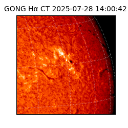 gong - 2025-07-28T14:00:42