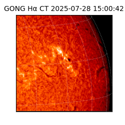gong - 2025-07-28T15:00:42