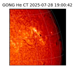 gong - 2025-07-28T19:00:42