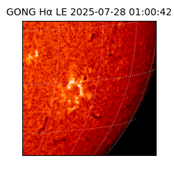 gong - 2025-07-28T01:00:42