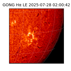 gong - 2025-07-28T02:00:42